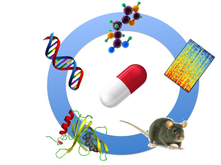 Link to the web page "Drug Discovery Network Zurich (DDNZ)" by UZH
