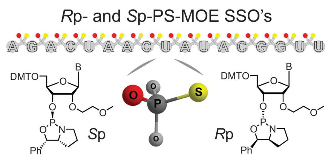 Link to subpage "Phosphorothioate stereochemistry in oligonucleotide drugs"